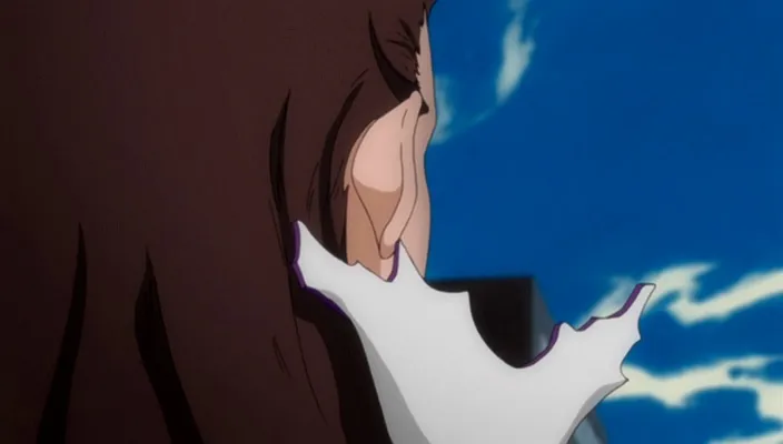 Capture 13 — Épisode 307 : Une dernière apparition — Rukia