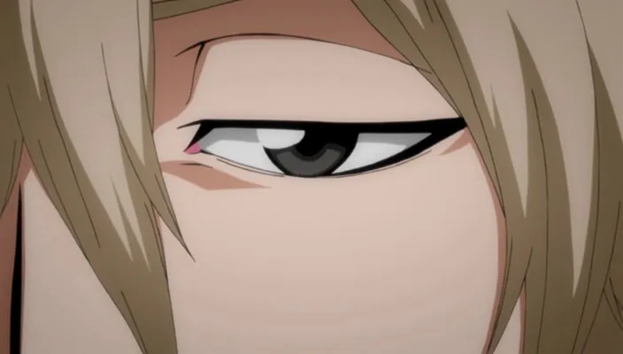 Capture 9 — Épisode 310 : Le Mystérieux Ginjō