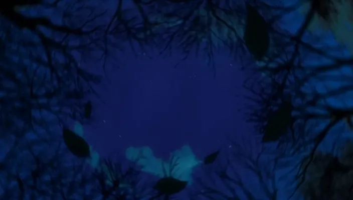 Capture 22 — Épisode 321 : Kagerōza Inaba