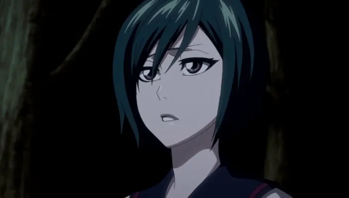 Capture 18 — Épisode 323 : Ichigo contre son double