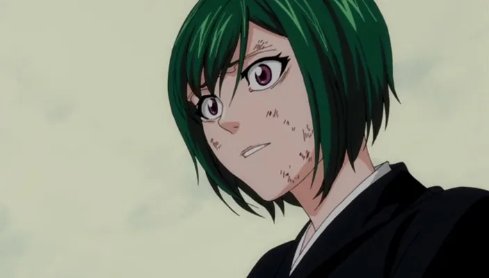 Capture 18 — Épisode 334 : Ichigo revient