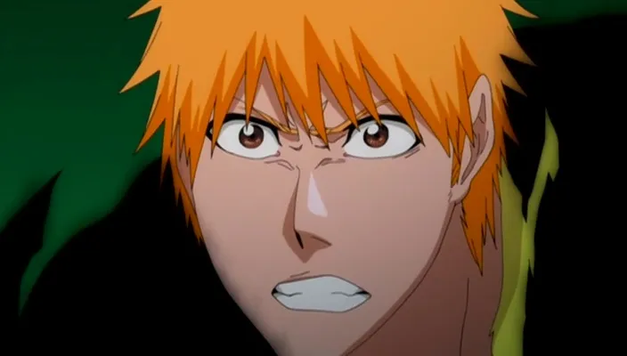 Capture 29 — Épisode 354 : Ichigo contre Ginjō — La Revanche